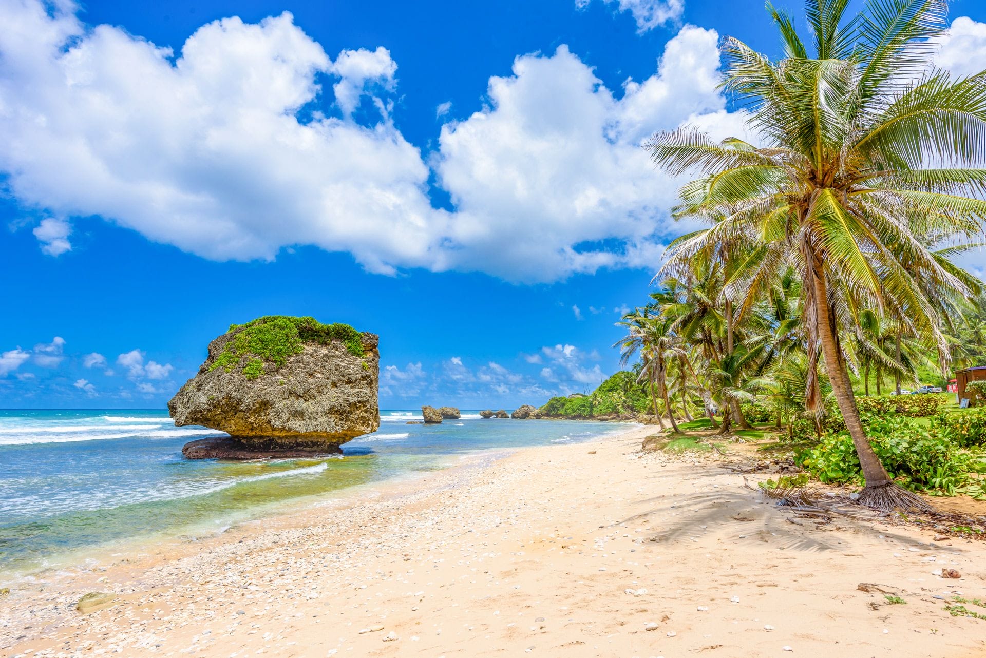 CVBA TRAVEL CLUB ANNOUNCES TROPICAL ISLAND GETAWAY TO BARBADOS ...