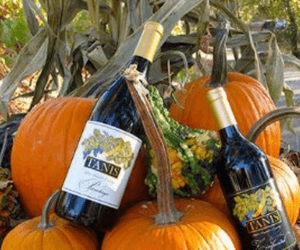Wine bottles and pumpkins