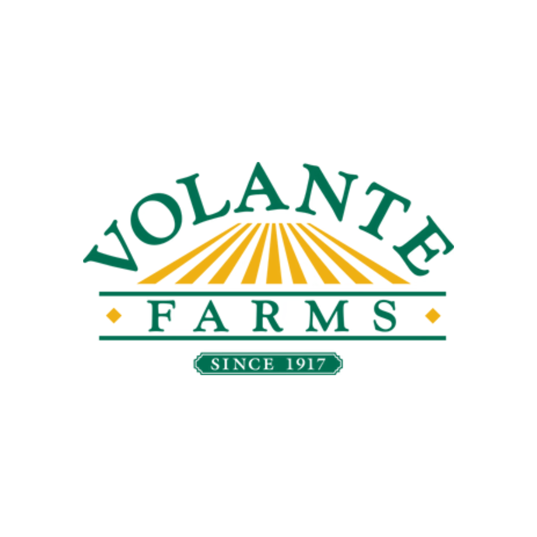 Spring Seasonings Restaurant Logo