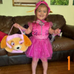 1-Sky (Paw Patrol)