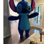 1-Stitch