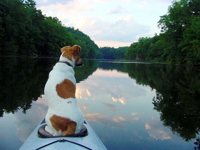 Kayaking with dog