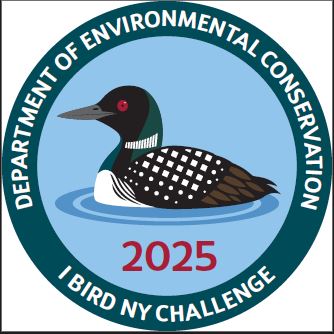 birding-i bird ny 2025 logo