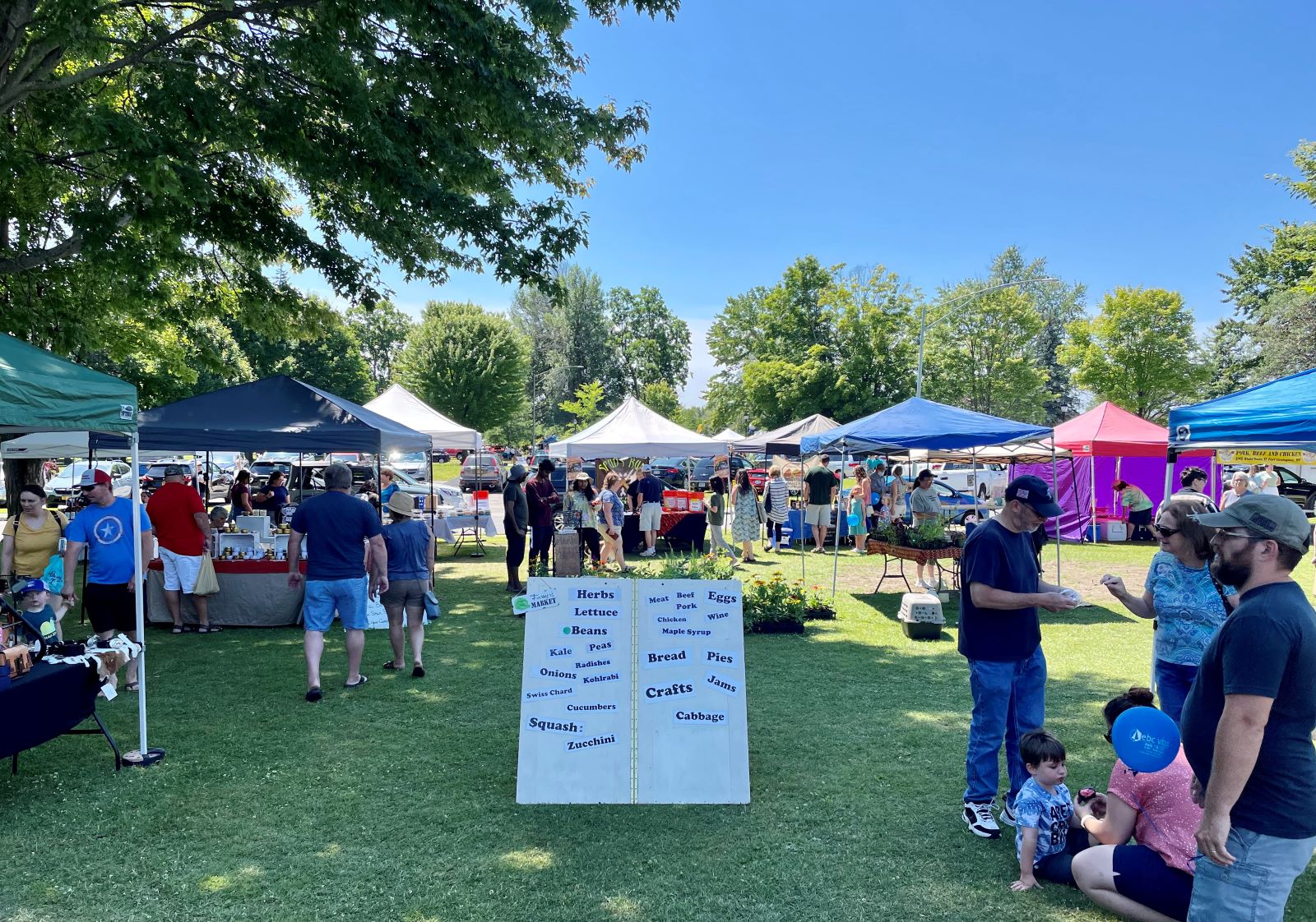 Farmers Market | Potsdam