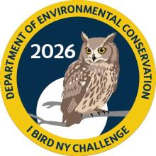 2026-ibirdny-challengepatch