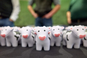 482242665_645729741439658_2384144710434823997_n