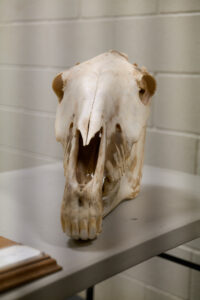 482244027_645729824772983_9107521082676640833_n