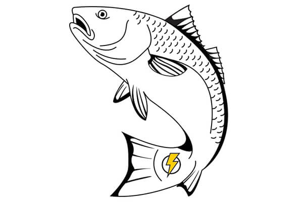 Redfish Electric Logo