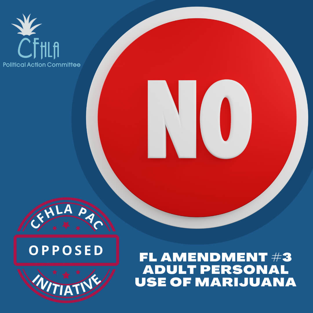 Vote No on Amend 3 PNG