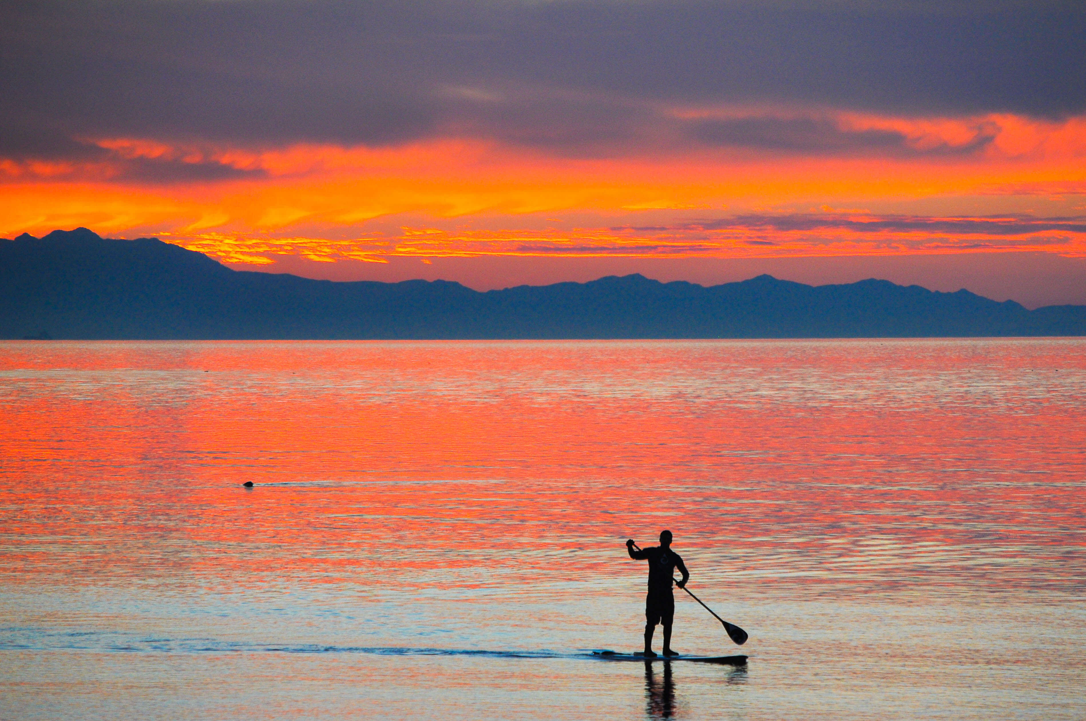 paddlboard sunset
