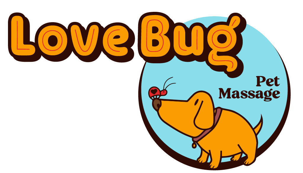Love Bug