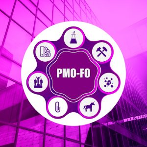 PM4PRR3 Thumbnail SQ2_PMO-FO