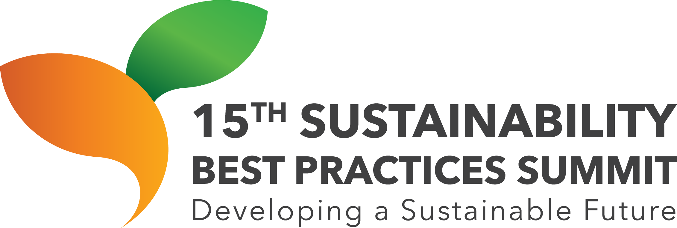 Cumbre Ambiental 2024 Logo