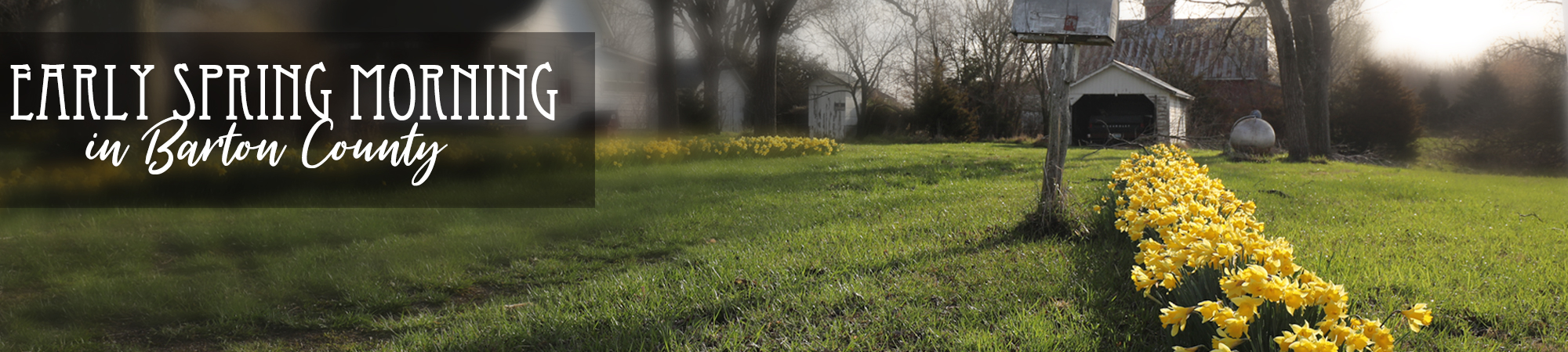 early-spring early-spring