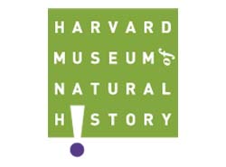 Harvard Museum of natural history