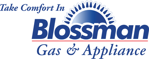 blossmangas-logo