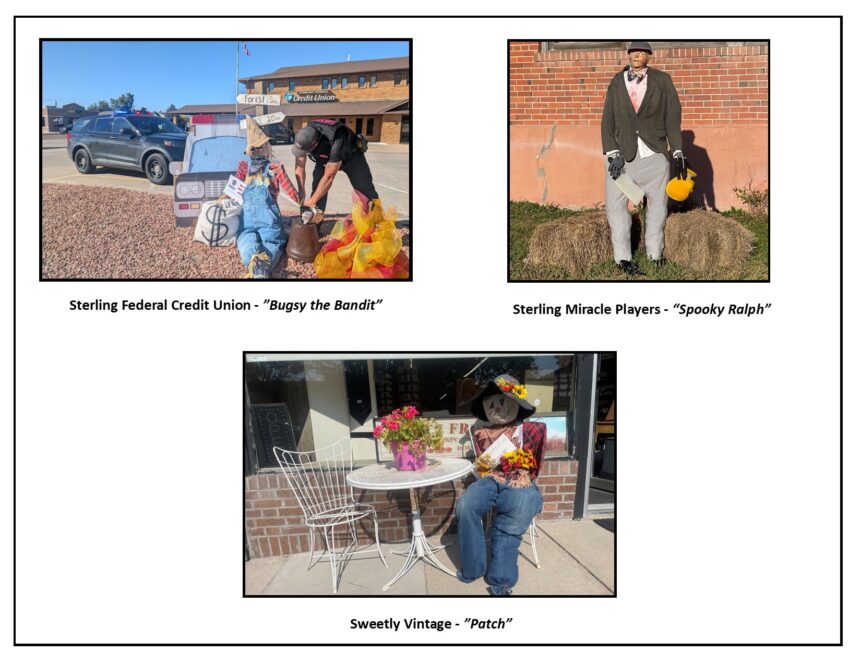 All 2025 Scarecrows Finalistpg4- 3perpage