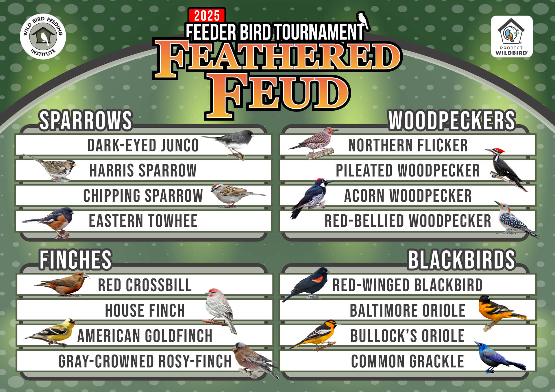 WBFI_FeederBirdoftheYear_Bracket