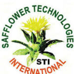 Saf syst logo