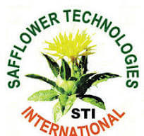 Saf syst logo