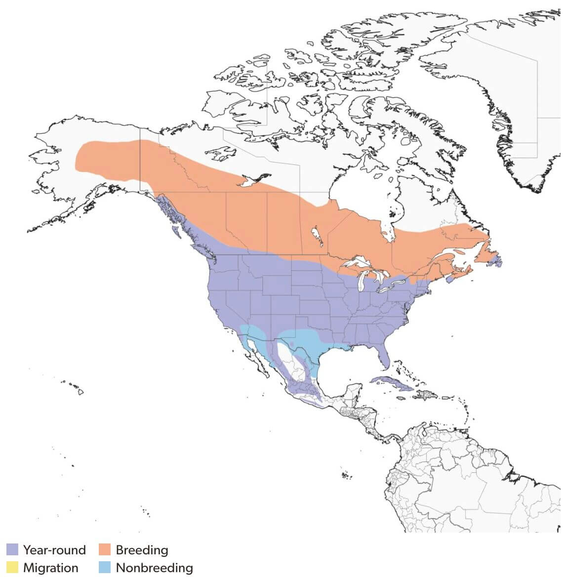 migratory map indicating range for Northern Flicker movement