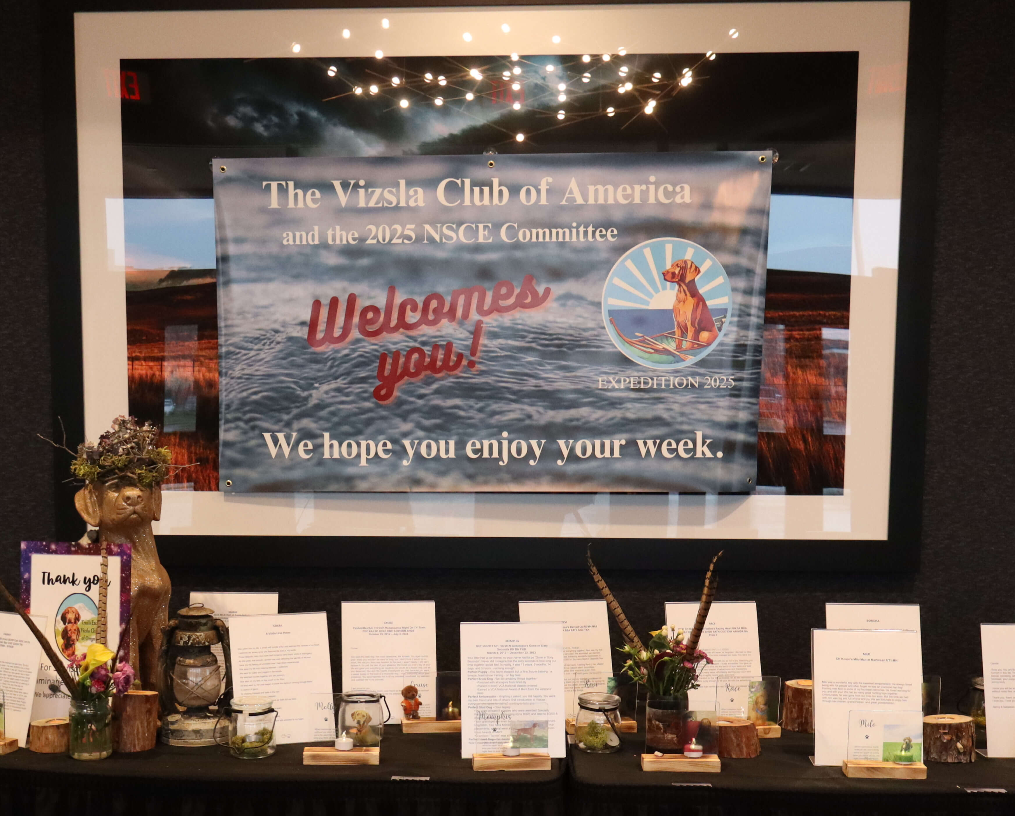 2025 Vizsla Club of America National Dog Show