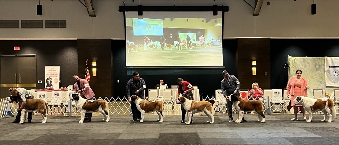 2025 St. Bernard National Dog Show
