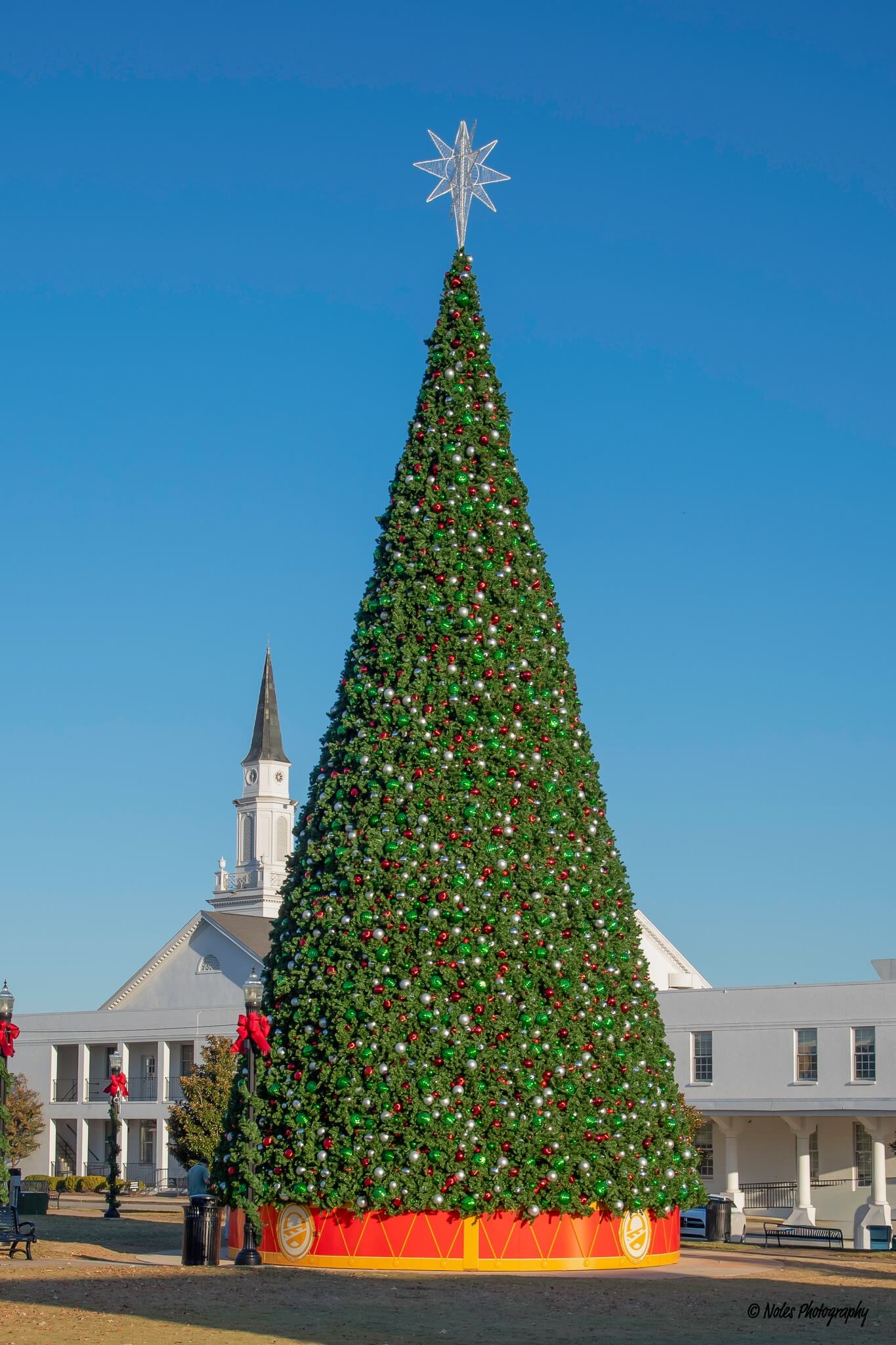 580803548_10238724329995734_8535040841132256081_n