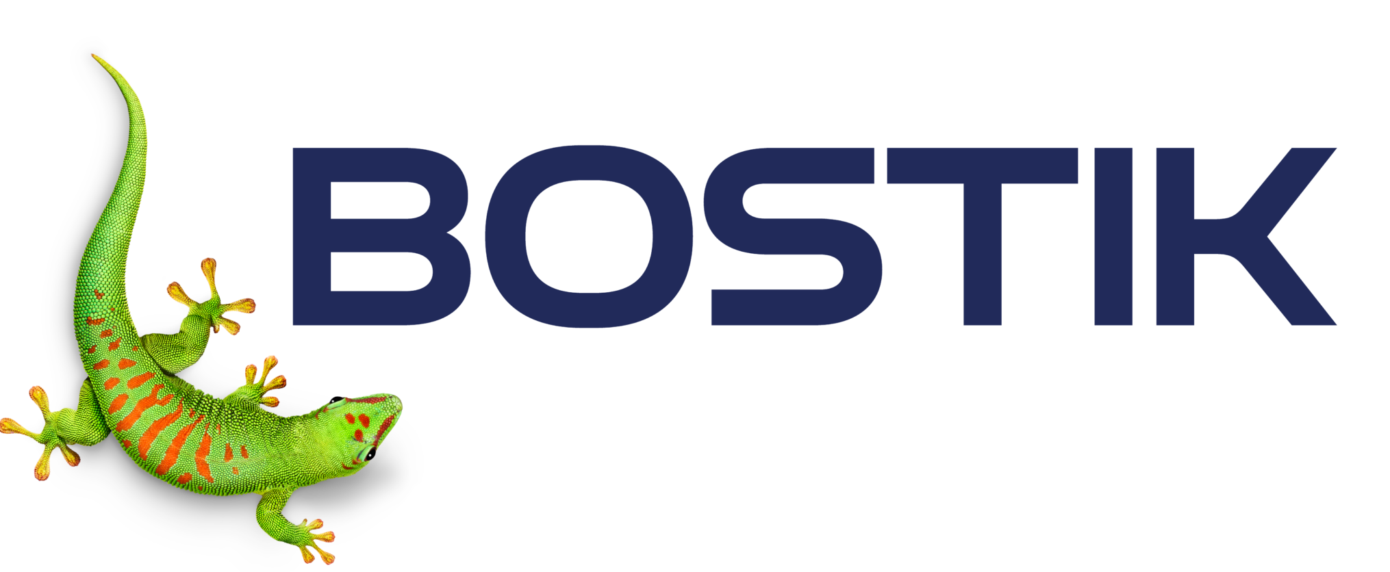 N_Bostik_Logo21_STD_M_3C_P (002)2026