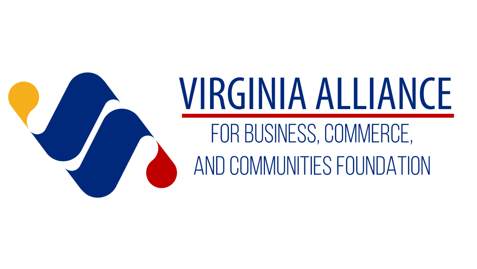 Virginia Alliance Foundation Virginia Alliance Foundation