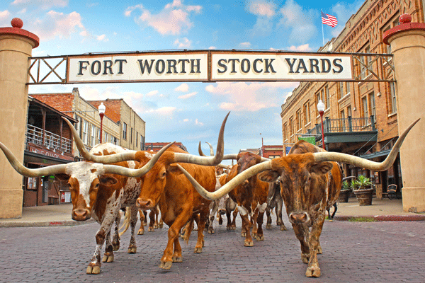 Ft. Worth Stock Yard