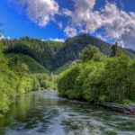 McKenzie_River_Daytime_by_Mike_Shaw_-_RIGHTS_FREE_(2)_gallery