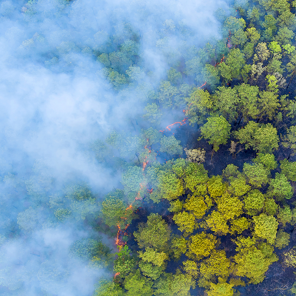 Panorama aerial wildfire is burning trees dry grass in the forest in California