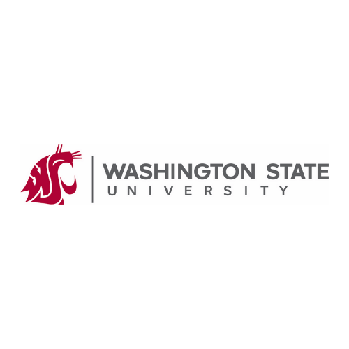 wsu enrollment