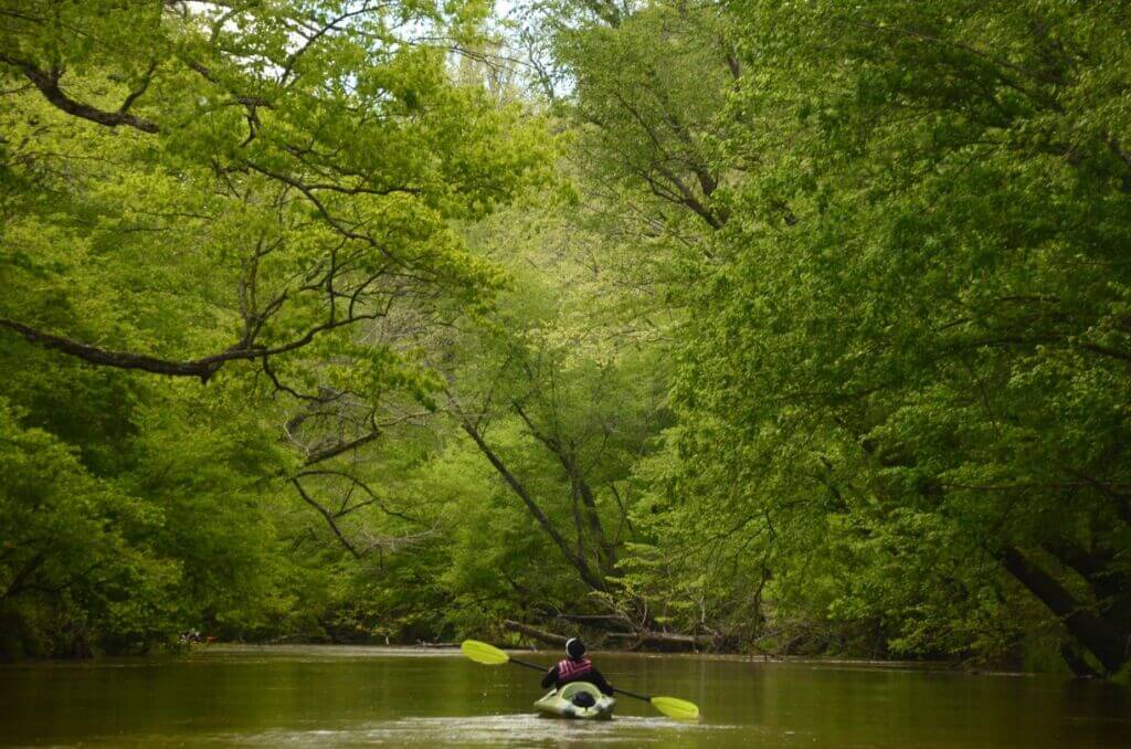 Paddlers on Tallapoosa River