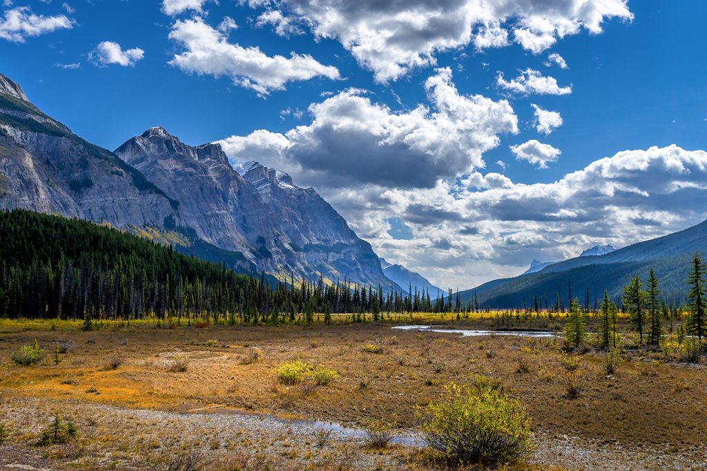 Wetland valley with mountains