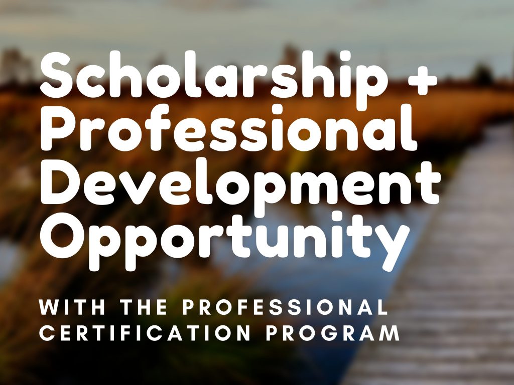 Scholarship + Professional Development Opportunity