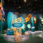 Audobon Insectarium - photo of Diversity Exhibit with colorful giant insects and displays.