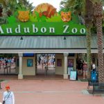 Audobon Zoo front entrance photo taken by drone.