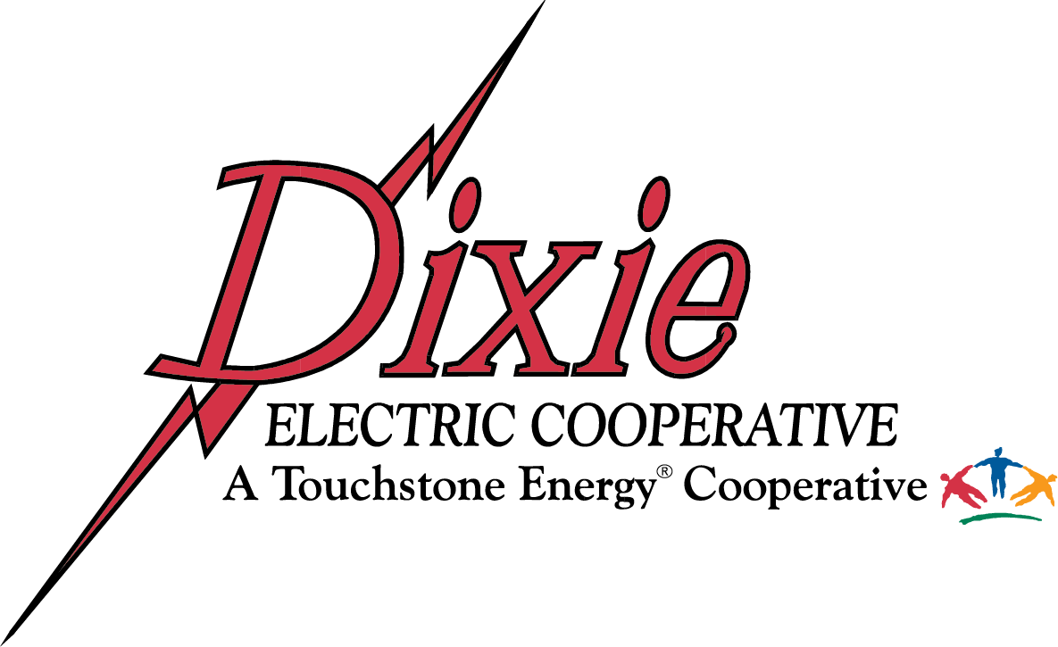 EXECUTIVE SPONSOR