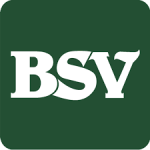 bsv