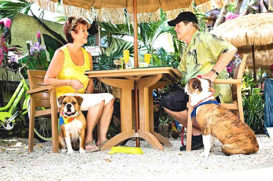 Retired Couple at Pet Friendly Restaurant Sweet Sage Cafe & Boutique - Tampa Bay Beaches