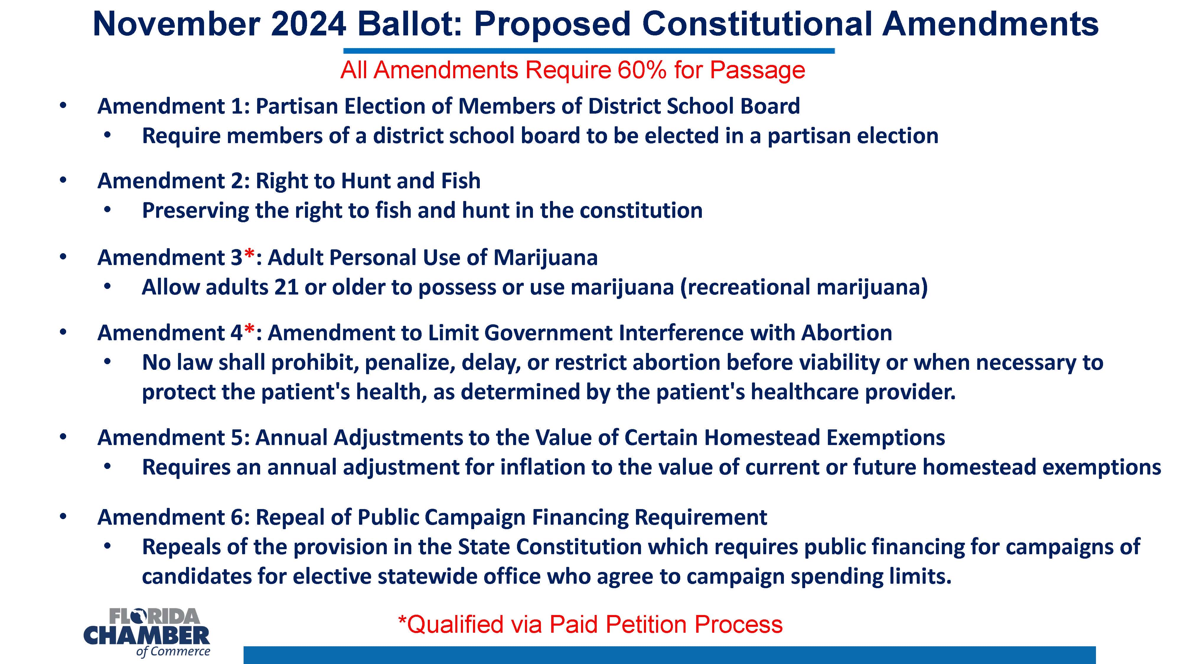 Proposed Constitutional Amendments Nov 2024