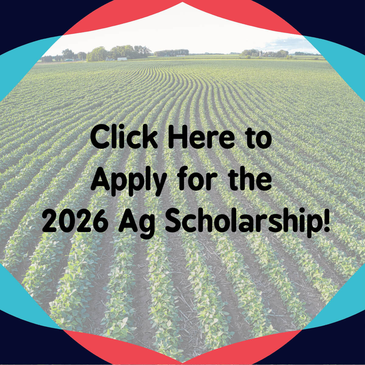 Click Here to Apply for the 2026 Ag Scholarship