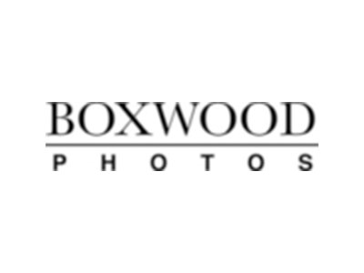 boxwood photos