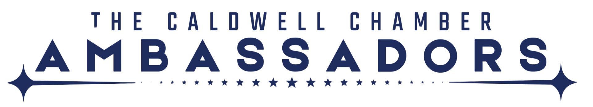 AmbassadorBlue AmbassadorBlue