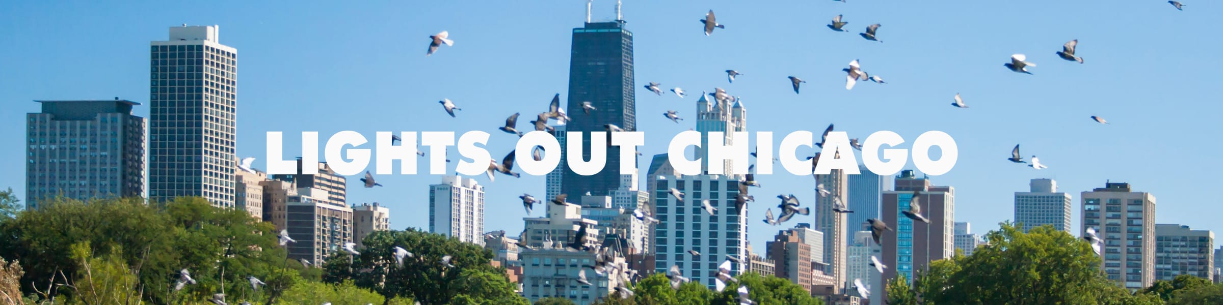 Lights Out Chicago Website Banner Lights Out Chicago Website Banner