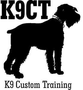 2-0075-K9CT (logo)