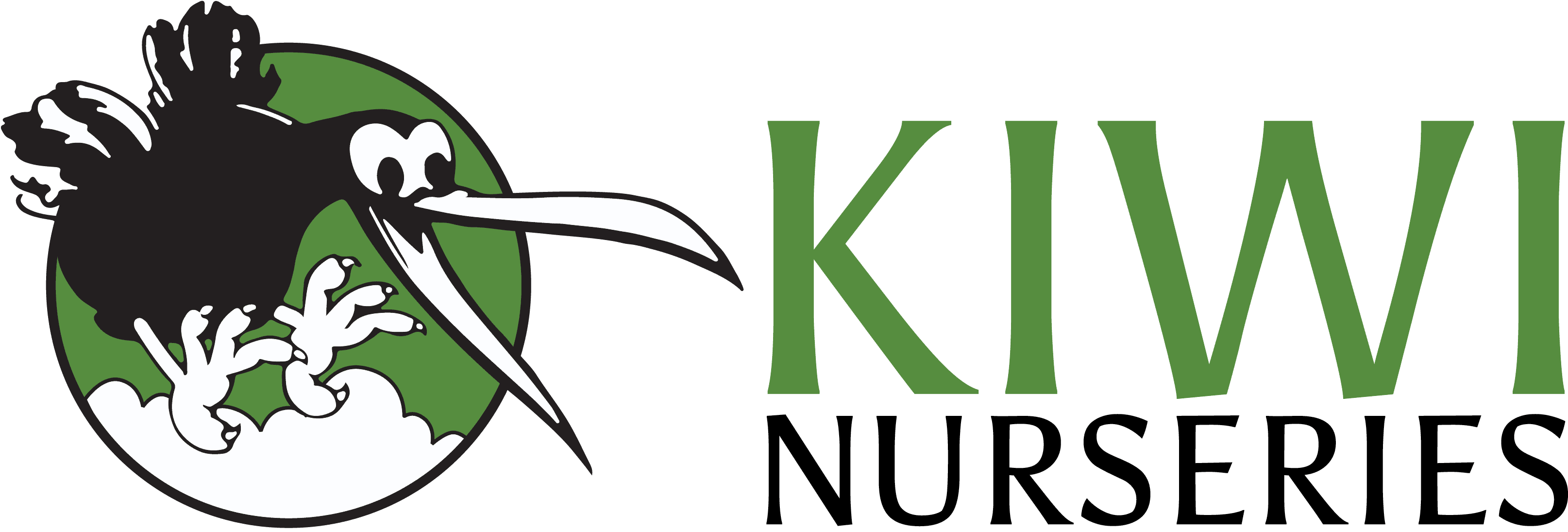 Kiwi-Horizontal-Logo-2019