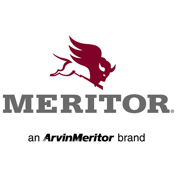 Platinum - Meritor